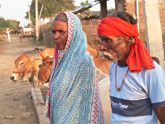 Villagers and cows