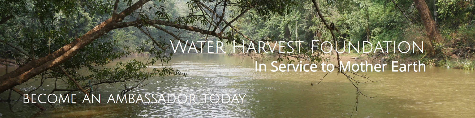 Water Harvest Foundation